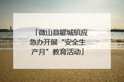 微山县驩城镇应急办开展“安全生产月”教育活动
